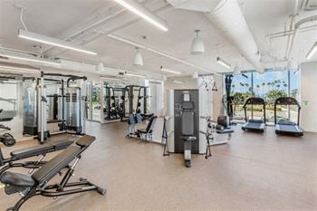 Free weights